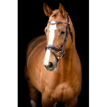 Brida Montar Normandie cuero curtido Castaño Marrón Brida Montar Normandie cuero curtido Castaño Marrón