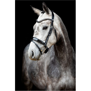 Brida Montar Normandie Deluxe de cuero curtido Brida Montar Normandie Deluxe de cuero curtido