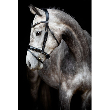 Brida Montar Normandie Deluxe de cuero curtido Brida Montar Normandie Deluxe de cuero curtido