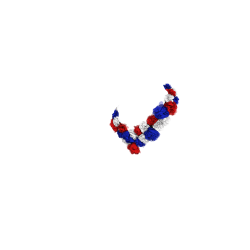 Corona de flores Toy Pony LeMieux