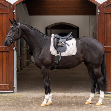 Sudadero HV Polo Dana Dressage Sudadero HV Polo Dana Dressage