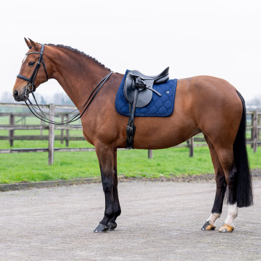 Sudadero HV Polo Dana Dressage Sudadero HV Polo Dana Dressage