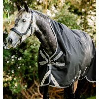 Manta Horseware Amigo Bravo 12 Wug 0g Verde tormenta / turquesa Manta Horseware Amigo Bravo 12 Wug 0g Verde tormenta / turquesa