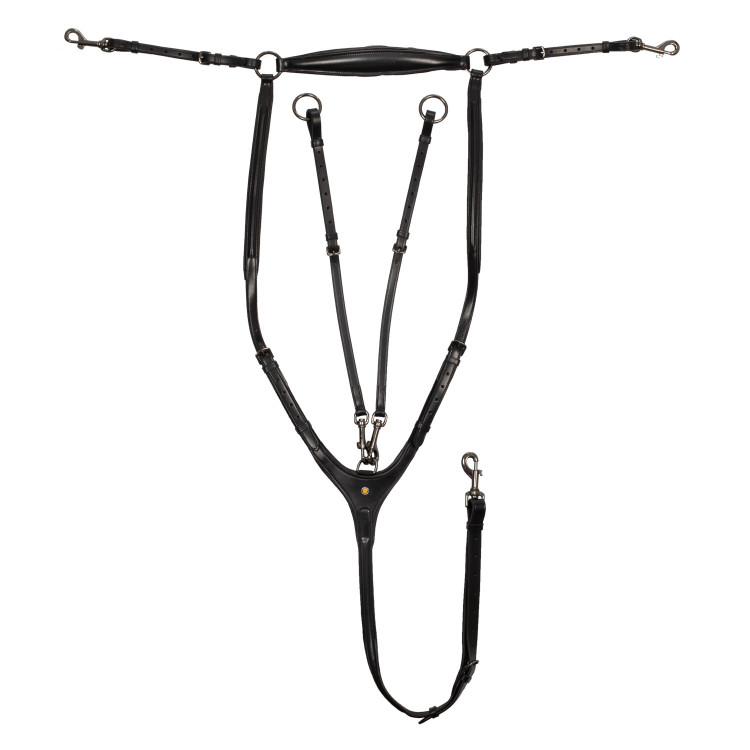 Pechopetral y martingala de cuero desmontable Equestro