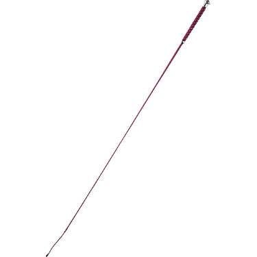 Fusta de doma Whip & Go Points Fusta de doma Whip & Go Points