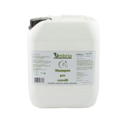 Champú para caballos Ama 5 L Umbria Equitazione