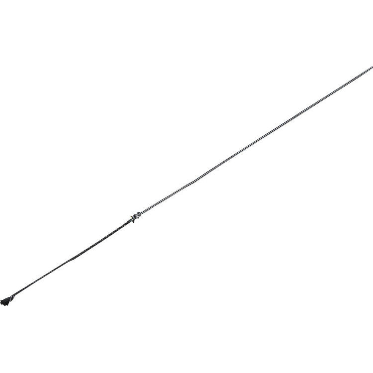 Fusta de picadero telescópica Whip & Go Carbone Fusta de picadero telescópica Whip & Go Carbone
