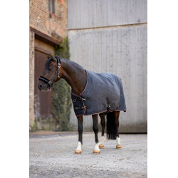 Manta impermeable para poni Pegasus Horze 200 g Manta impermeable para poni Pegasus Horze 200 g