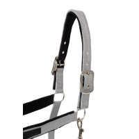 Cabezada Delémont Horze Aleación Gris