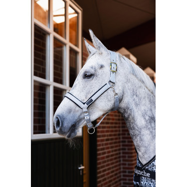 Cabezada Delémont Horze Aleación Gris