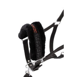 Cabezada y ramal para poni Pegasus Horze Cabezada y ramal para poni Pegasus Horze