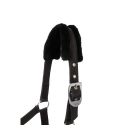 Cabezada y ramal para poni Pegasus Horze Cabezada y ramal para poni Pegasus Horze