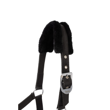 Cabezada y ramal para poni Pegasus Horze Cabezada y ramal para poni Pegasus Horze