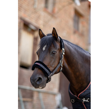 Cabezada y ramal para poni Pegasus Horze Cabezada y ramal para poni Pegasus Horze