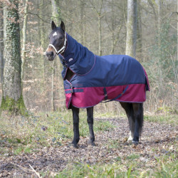 Cubrecuello Equi-Theme Tyrex 1200 D Azúl marino / burdeos