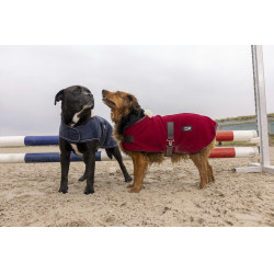 Manta polar DIEGO & LOUNA Teddy Manta polar DIEGO & LOUNA Teddy