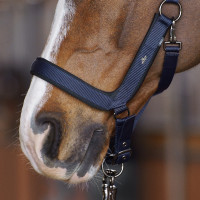 Cabezada HV Polo Essential Marino Azul marino