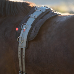 Cinchuelo de trabajo de nylon adicional Imperial Riding Deluxe Sabio oscuro Azul