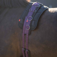 Cinchuelo de trabajo de nylon adicional Imperial Riding Deluxe Rosa multicolor de flores