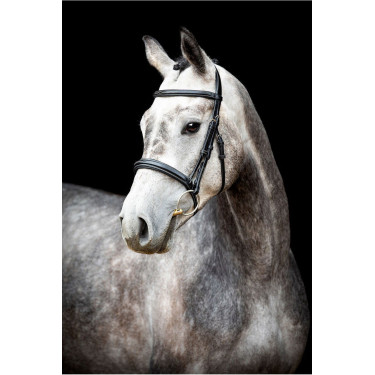 Brida Montar Hunter