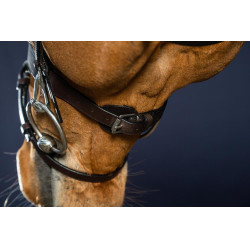 Bridon Cuir Plat Avec Mousquetons Working by Dy'on Negro Bridon Cuir Plat Avec Mousquetons Working by Dy'on Negro