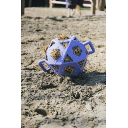 Pelota de juego / pelota de heno Kentucky Lavanda Violeta Pelota de juego / pelota de heno Kentucky Lavanda Violeta