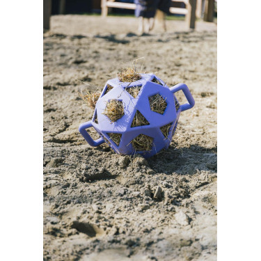 Pelota de juego / pelota de heno Kentucky Lavanda Violeta Pelota de juego / pelota de heno Kentucky Lavanda Violeta