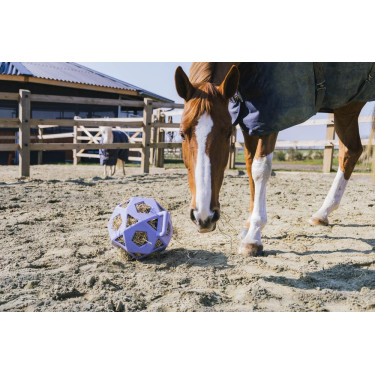 Pelota de juego / pelota de heno Kentucky Lavanda Violeta Pelota de juego / pelota de heno Kentucky Lavanda Violeta
