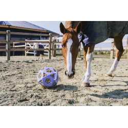 Pelota de juego / pelota de heno Kentucky Pelota de juego / pelota de heno Kentucky