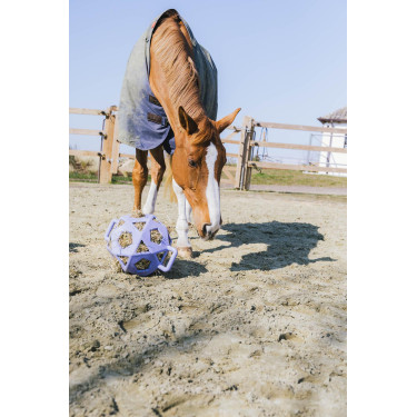 Pelota de juego / pelota de heno Kentucky Lavanda Violeta Pelota de juego / pelota de heno Kentucky Lavanda Violeta