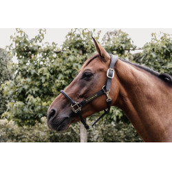 Cabezada para cabezada anatómica de cuero Kentucky Negro