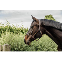 Cabezal para Cabestro Flexible Kentucky Castaño Marrón