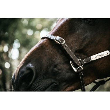 Cabezal para Cabestro Flexible Kentucky Cabezal para Cabestro Flexible Kentucky