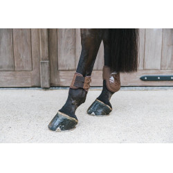 Protectores de menudillo elásticos Kentucky Castaño Marrón