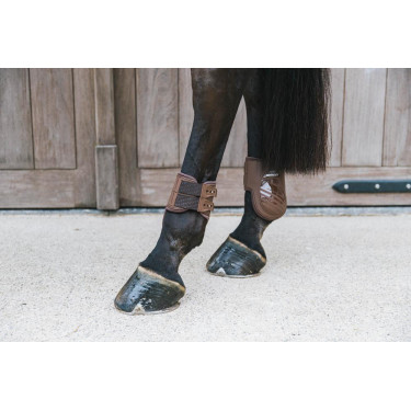 Protectores de menudillo elásticos Kentucky Castaño Marrón