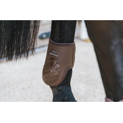 Protectores de menudillo elásticos Kentucky Castaño Marrón