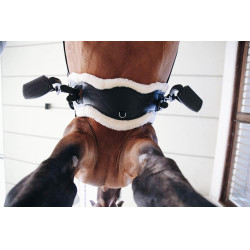 Mouton amovible pour Sangle Anatomique courte Kentucky Natural