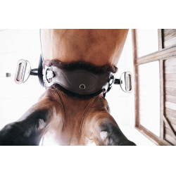 Borrego desmontable para Cincha Anatómica corta Kentucky Castaño Marrón