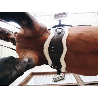 Borrego desmontable para Cincha Anatómica corta Kentucky Borrego desmontable para Cincha Anatómica corta Kentucky