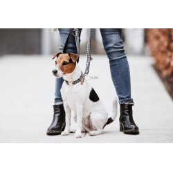 Correa para perro pata de gallo Kentucky