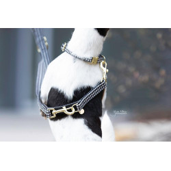 Correa para perro pata de gallo Kentucky Correa para perro pata de gallo Kentucky