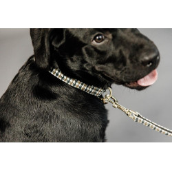 Correa para perro pata de gallo Kentucky Marrón