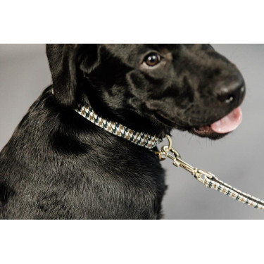 Correa para perro pata de gallo Kentucky Marrón