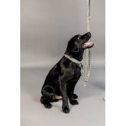 Correa para perro pata de gallo Kentucky Marrón