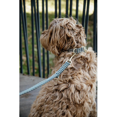 Correa para perro pata de gallo Kentucky Marrón