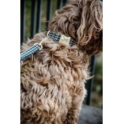 Correa para perro pata de gallo Kentucky Marrón