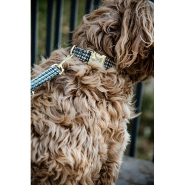 Correa para perro pata de gallo Kentucky Marrón