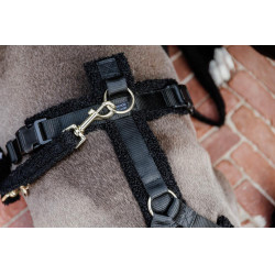 Correa para perro Teddy Fleece 200 cm Kentucky