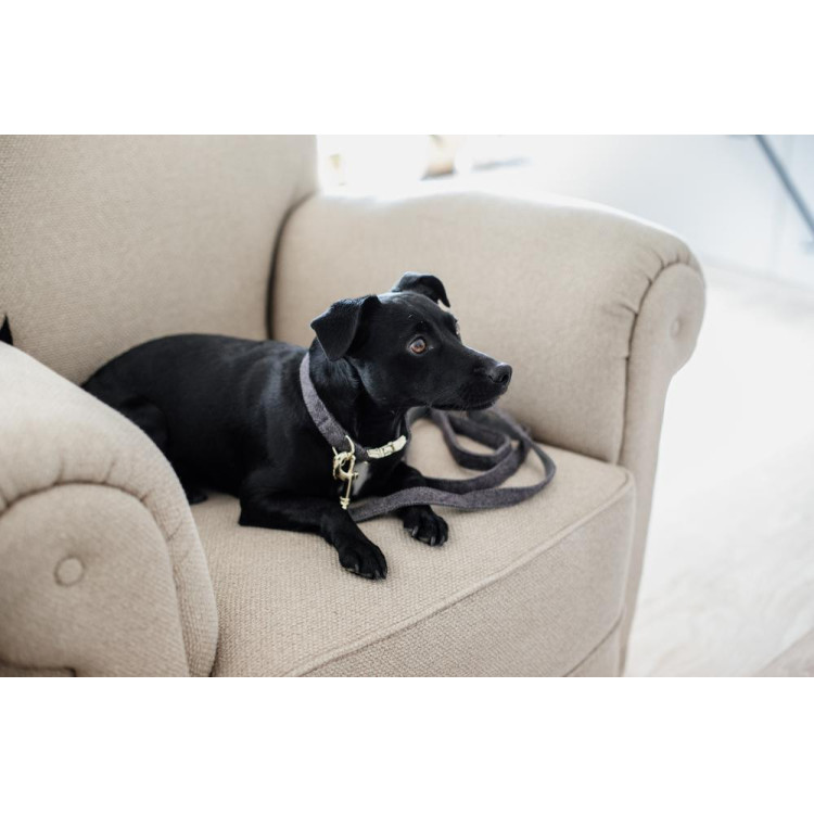 Correa para perro Wool Longue Kentucky