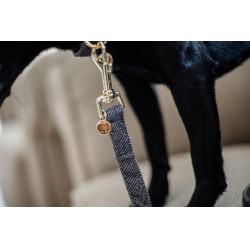 Correa para perro Wool Longue Kentucky Correa para perro Wool Longue Kentucky